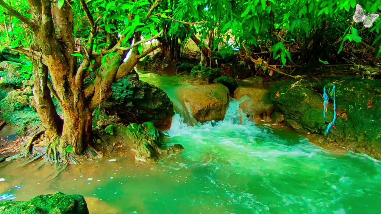 Relaxing Music For Stress Relief, Anxiety and Depressive States🌲Heal Mind, Body and Soul 80