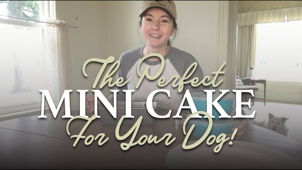 Birthday Cake For Dogs - Birthday Cake Recipe for Dogs - Dog friendly cake recipe - CAKE FOR DOGS