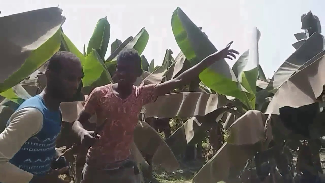 اول فلم ل ابطال وصاب السافل المشرافه