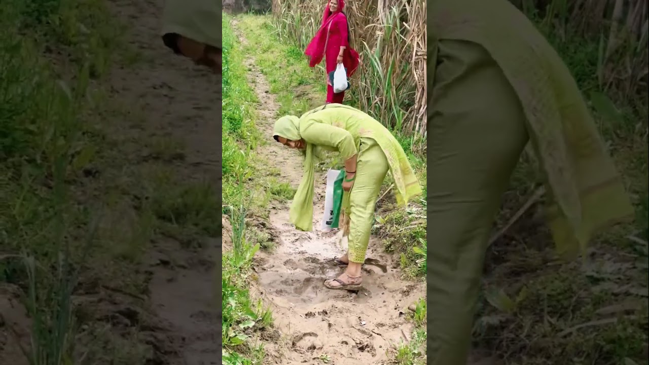 Khet me Devta pujan ko gaye the #ytshorts #holi #holicelebration #devtapujan #villagelife #viral