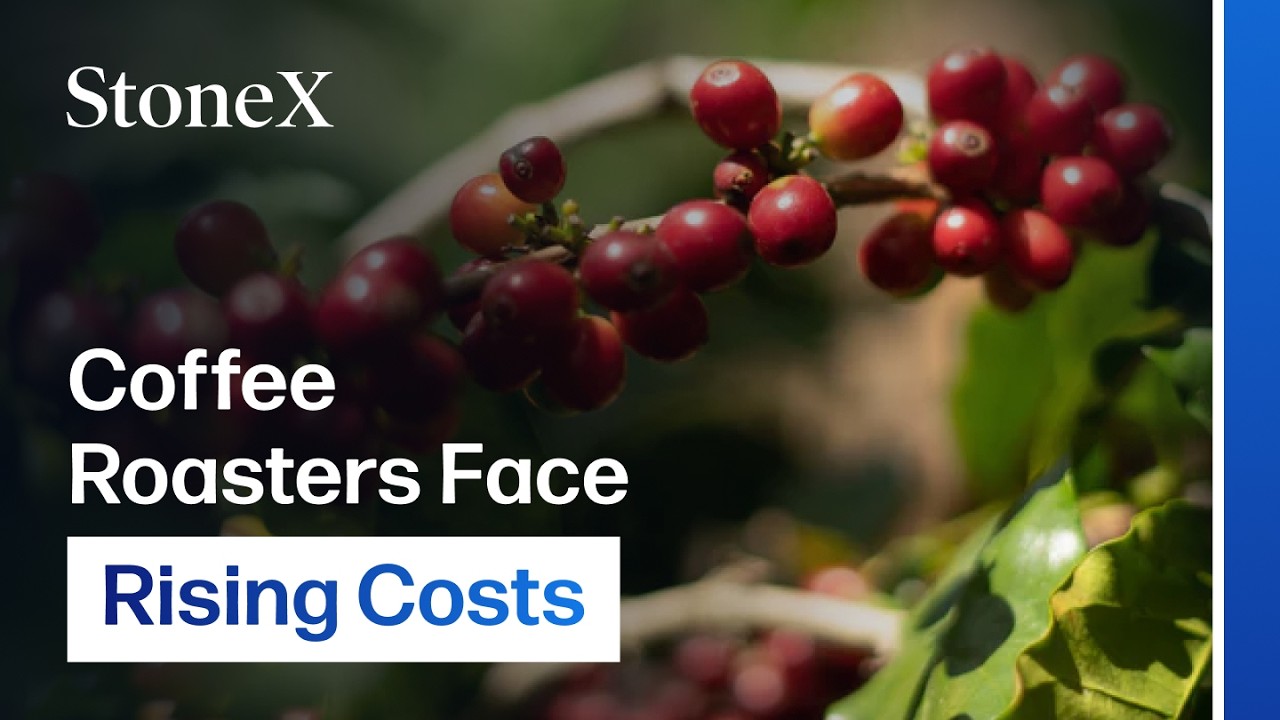 How Tariffs and Weather Are Reshaping Global Coffee Trade