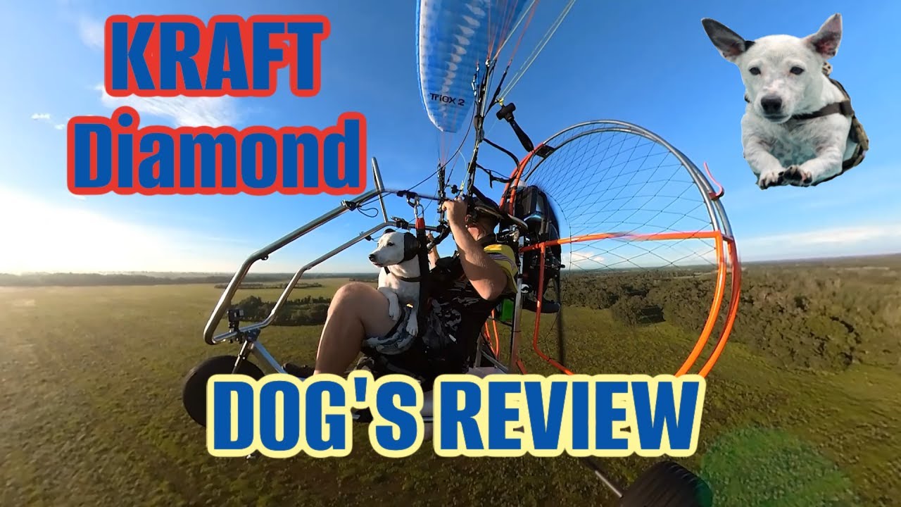 But does the dog like it? Kraft Diamond Trike Review