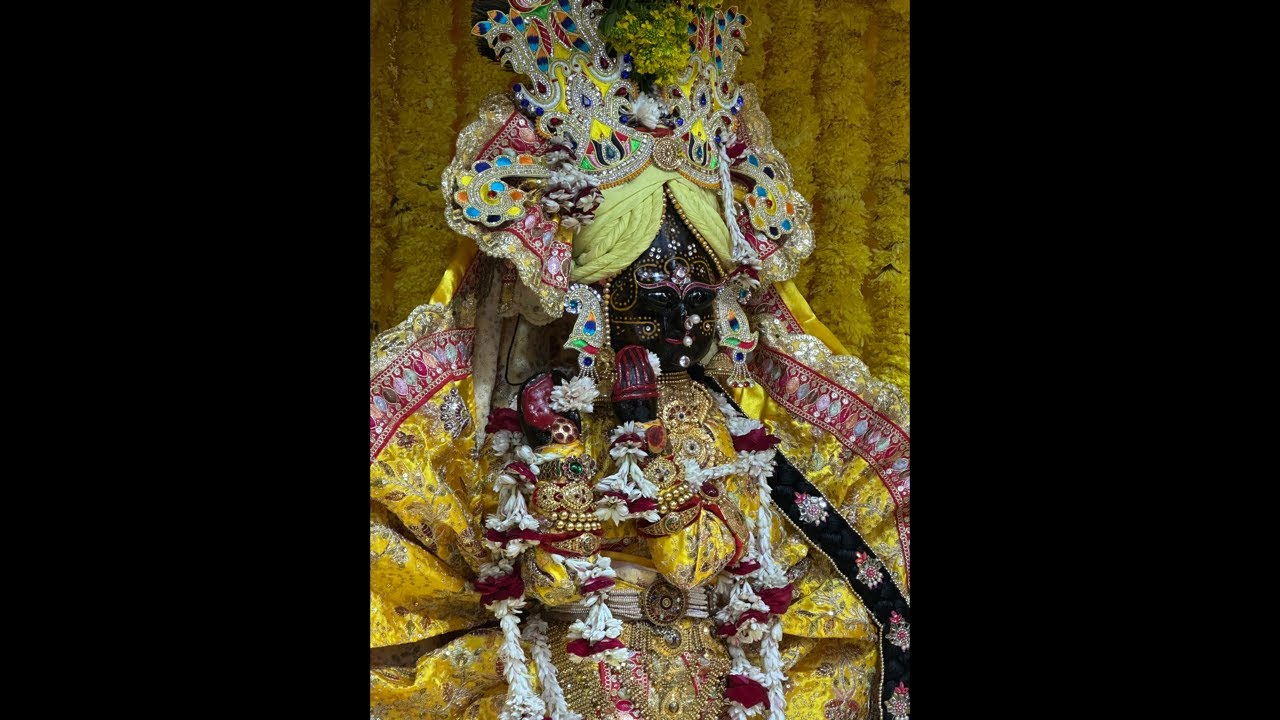 Radhavallbh Lal ji ke basant panchmi darshan
