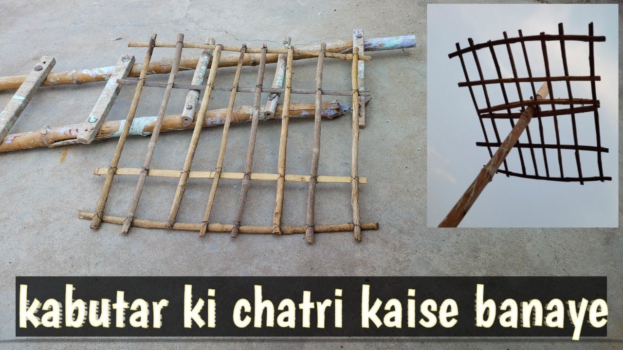 kabutar ki chatri kaise banaye