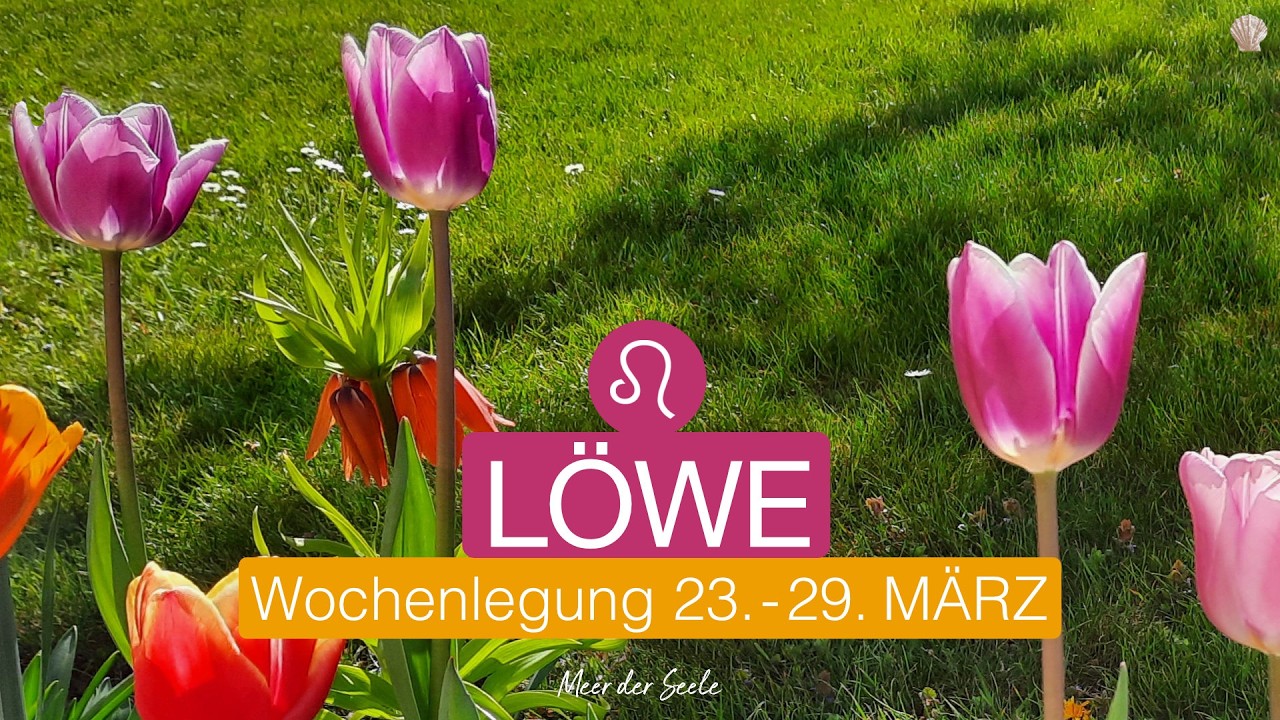 Löwe ♌️ 