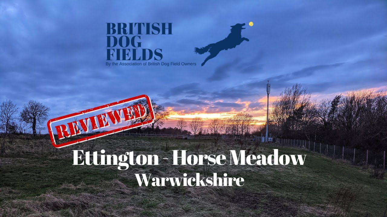 Ettington Secure Dog Walking Fields, Stratford upon Avon