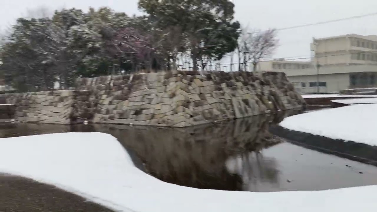 林中央公園で雪まみれ2026,2/8
