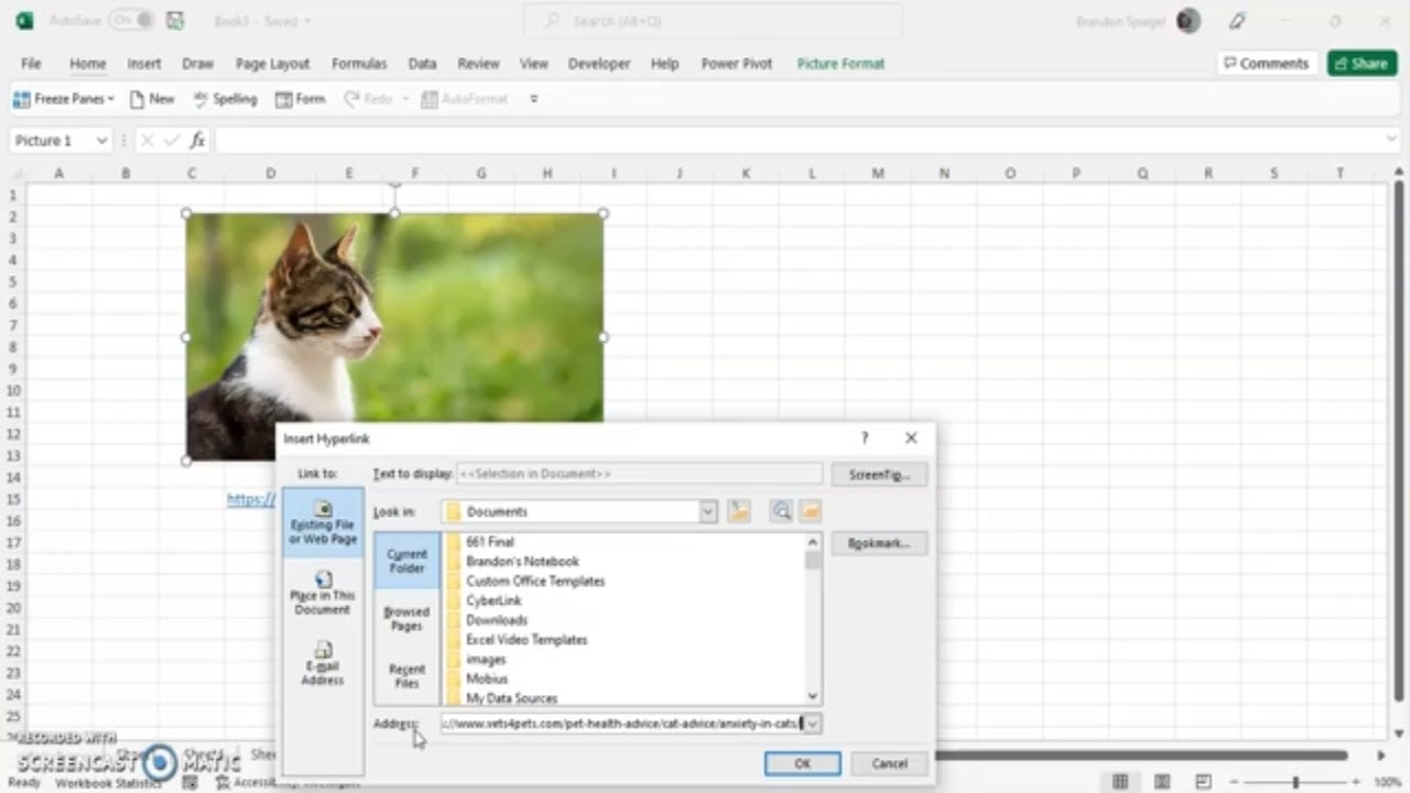How To Attach A Hyperlink To An Image In Microsoft Excel. Hyperlink to a Website, Document, and More