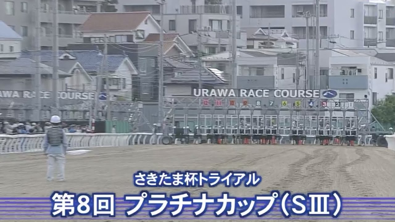 【第8回 プラチナカップ （SⅢ）】 2025 5/28 浦和競馬場