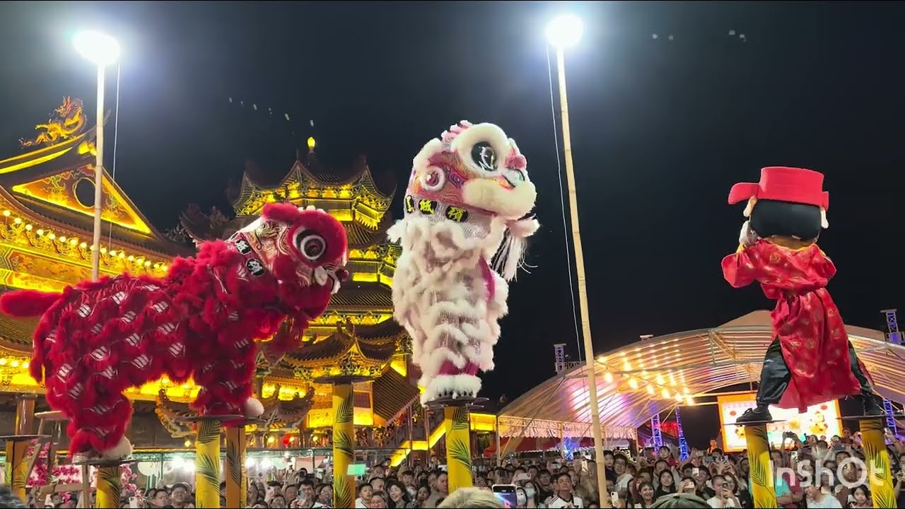 槟城北海庙会 红粉双舞狮高桩上载歌载舞Lion Dance dancing 