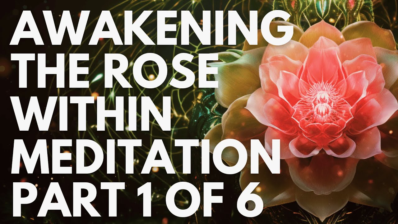 Unlocking the Divine Feminine 🌹The Rose Codes Part 1 of 6