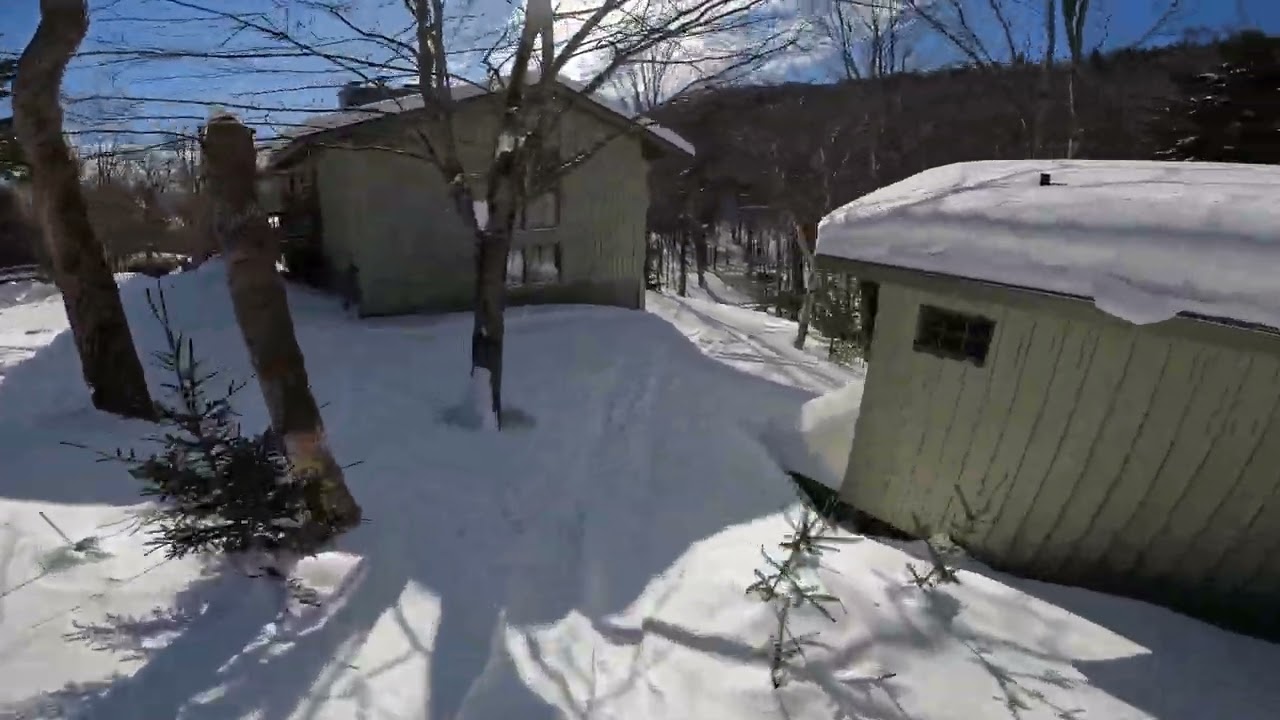 Exploring - Boundary Woods - Mad River Glen (2026)