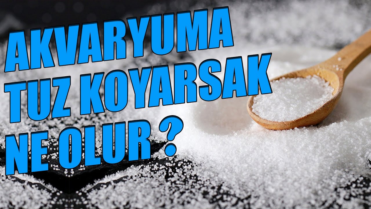AKVARYUMA TUZ ATILIR MI? (Akvaryumda Tuz Balıklara Zararlı mı? Akvaryuma Ne Kadar Tuz Atılır?)