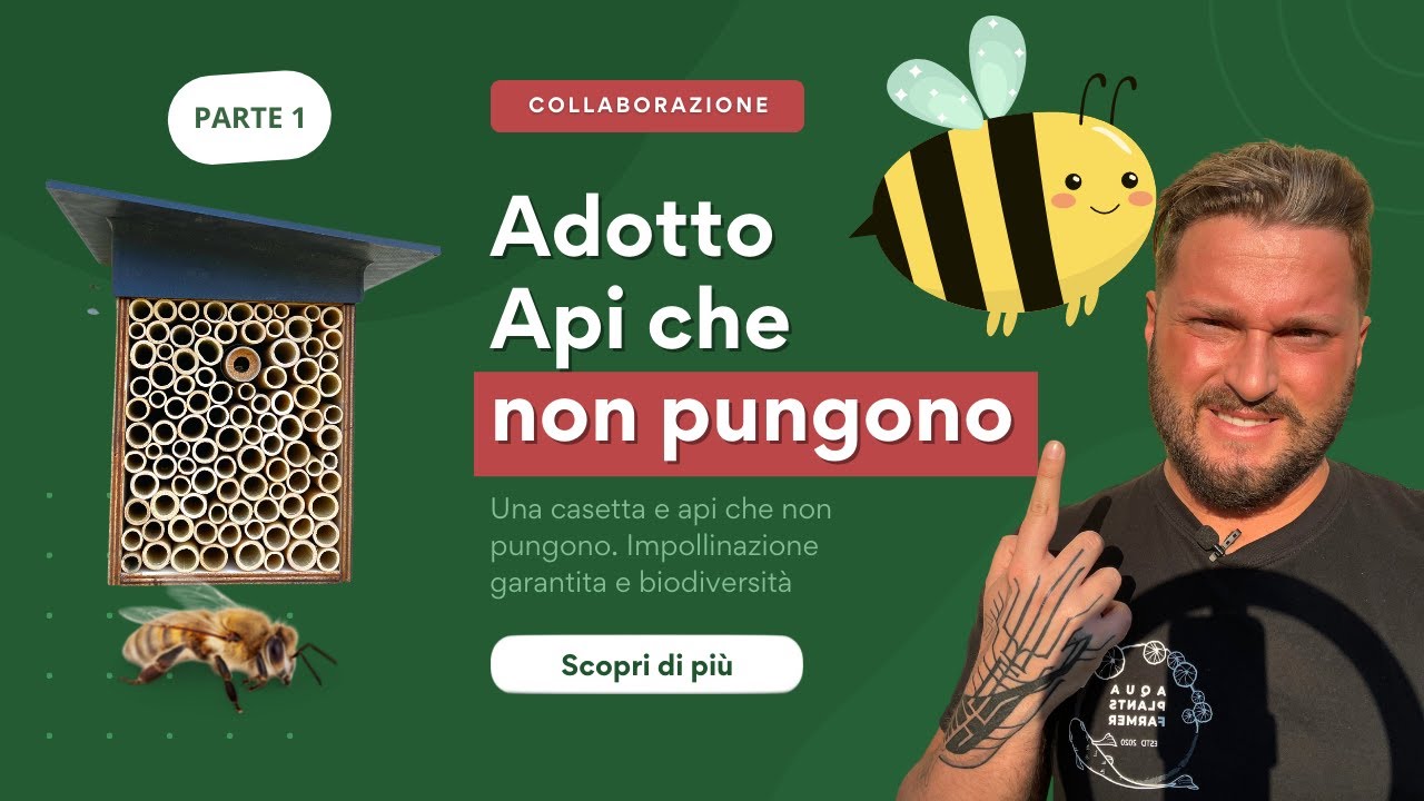 COME ALLEVARE API IN CASA: le Osmie, api selvatiche che non pungono | Adotta una Polly PT 1 🐝