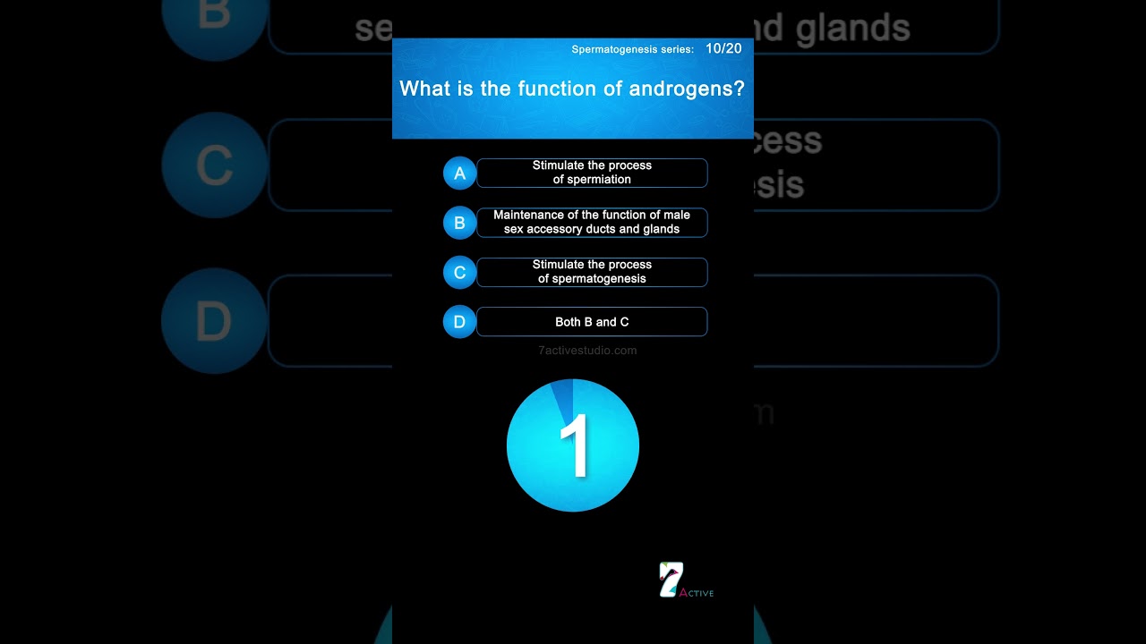 What is the function of androgens