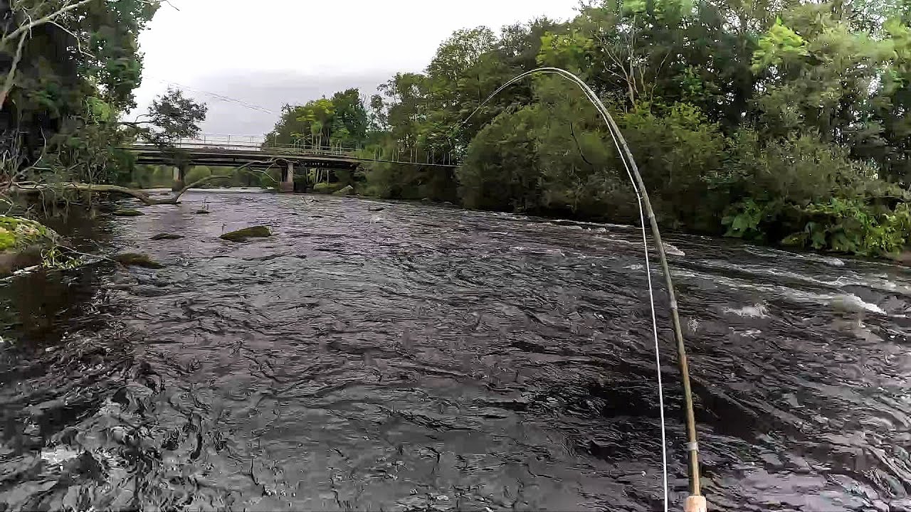 Jumping Jack Fly fishing in Mörrum