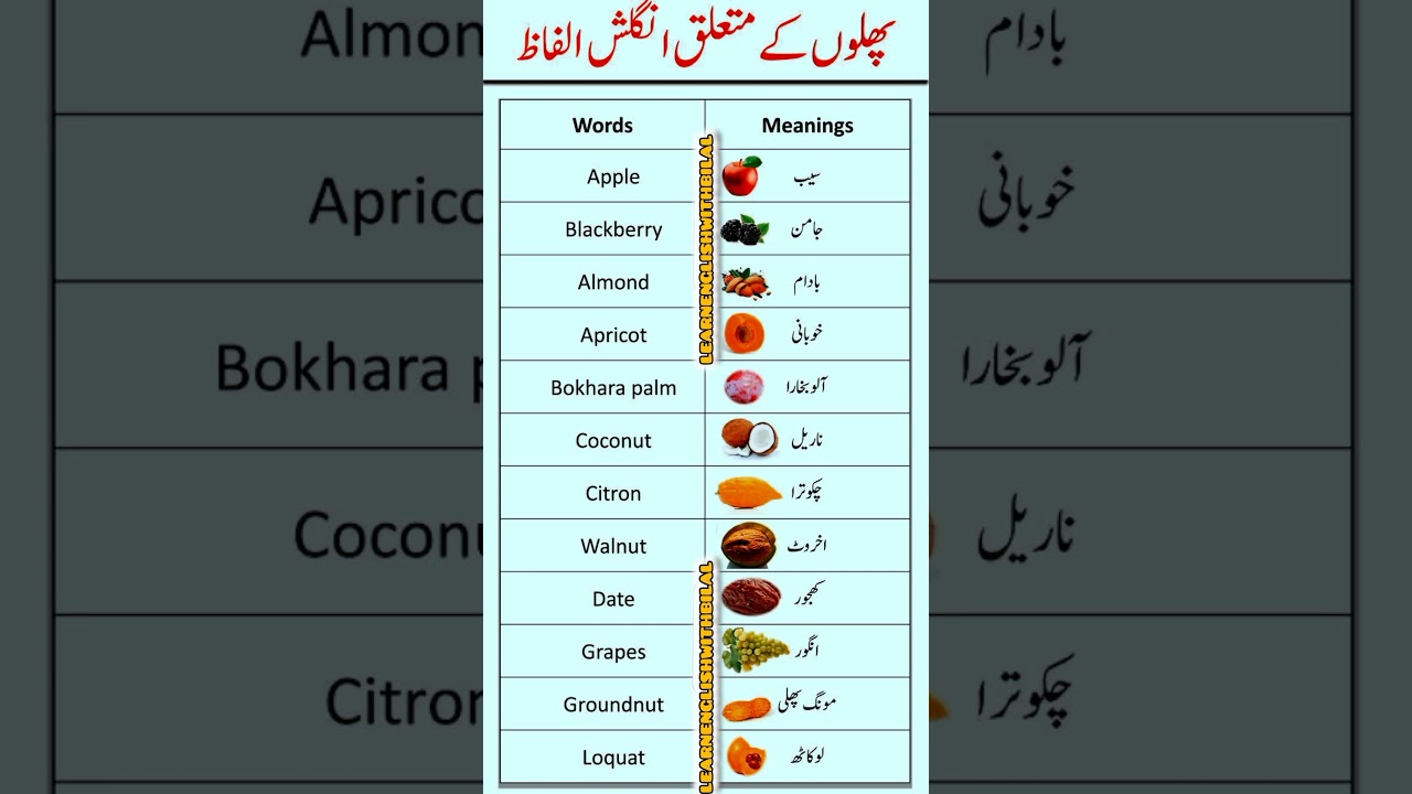 Learn Fruits Names In English With Urdu Meanings | Pictures of Fruits#vocabulary#english#education