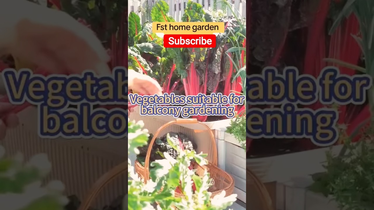 Best Vegetables to Grow on Your Balcony, 🌱 