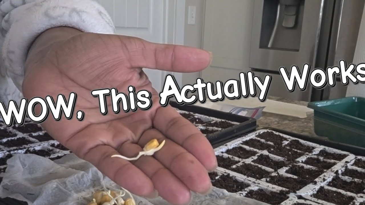  This Seed Hack is Actually a Game Changer!!💚