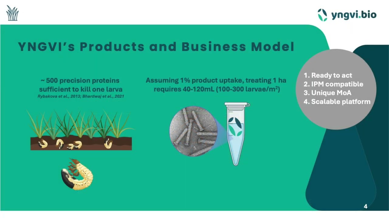 Grönfrö: Protein based seed protection by Yngvi