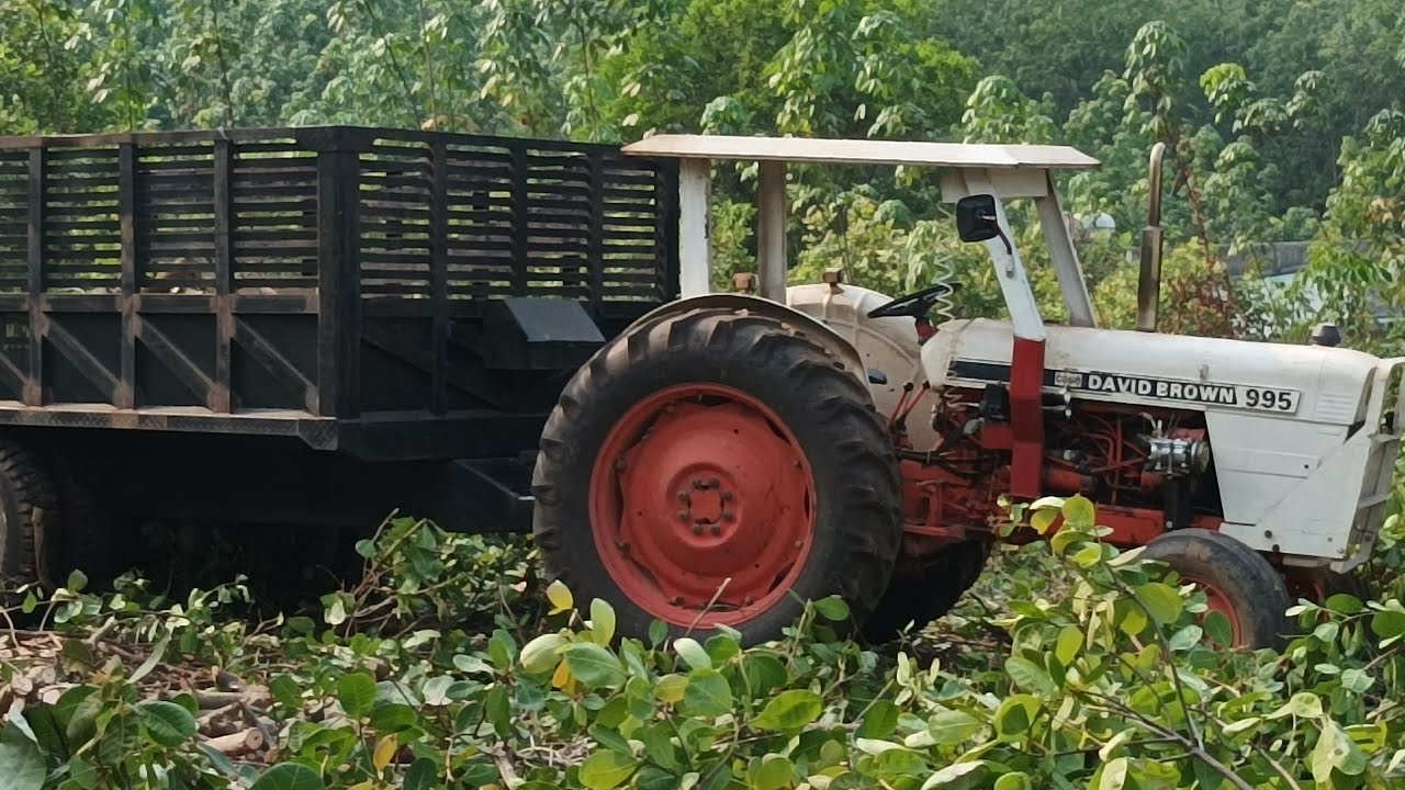 David Brown 995 hàng đẹp mà... [ ISEKI Bình Phước ]