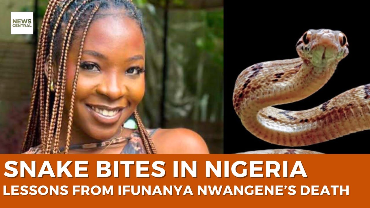 Snake Bite Crisis: Ifunaya Nwagene’s Death Stirs Call for Urgent Medical Reforms
