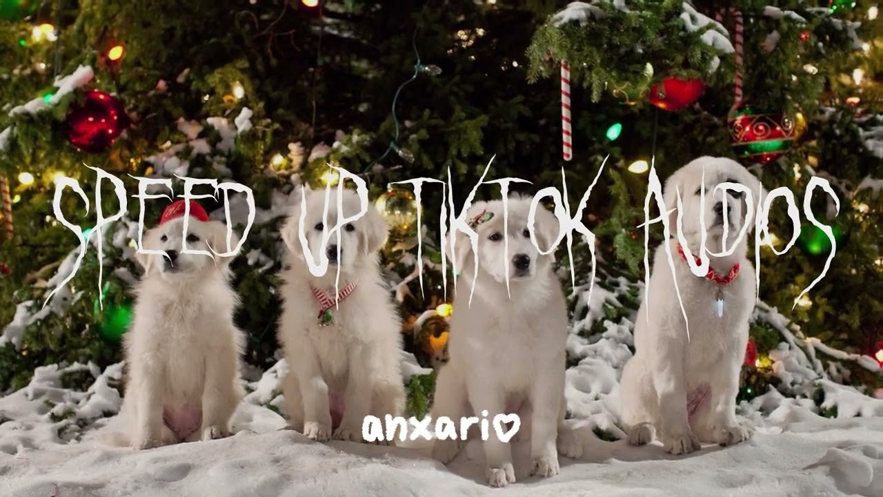 sped up tiktok audios part 60 ♡