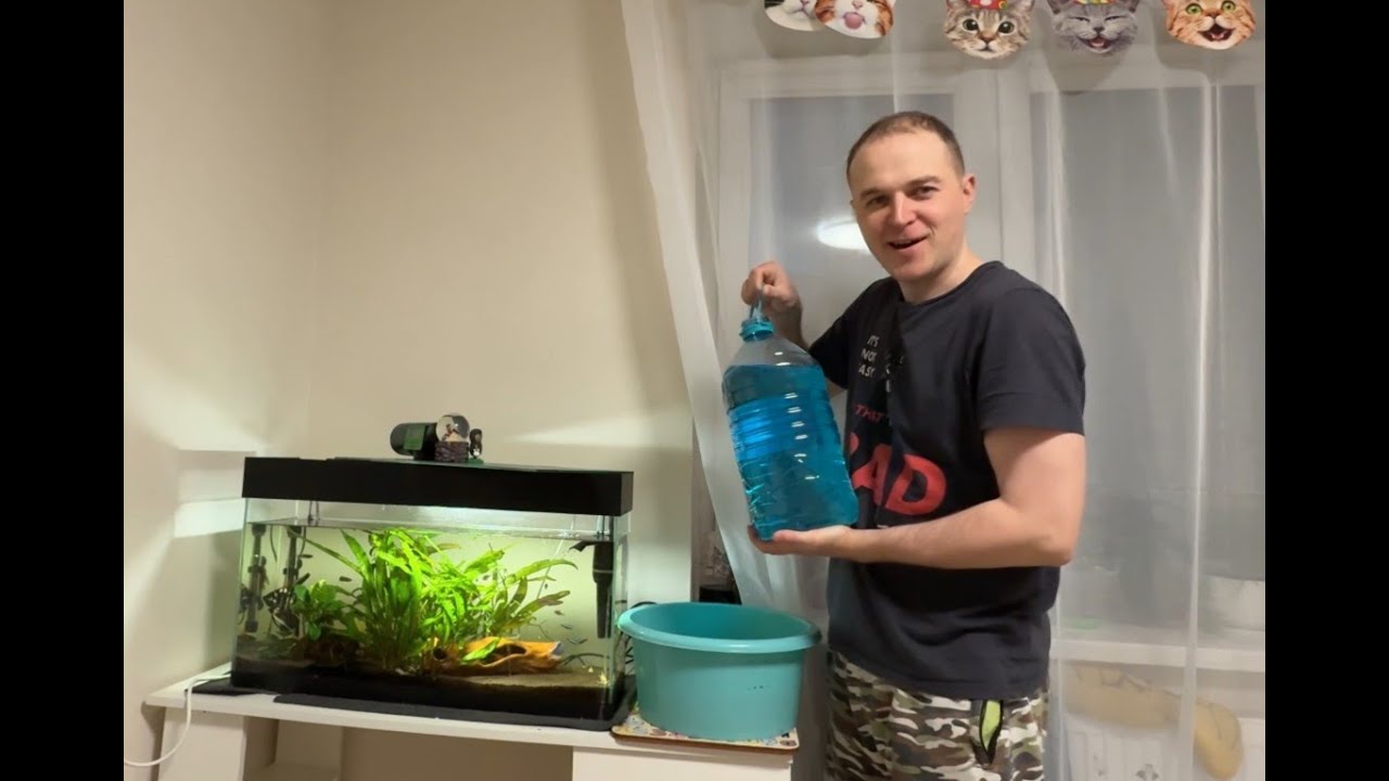 Мы загубили аквариум.