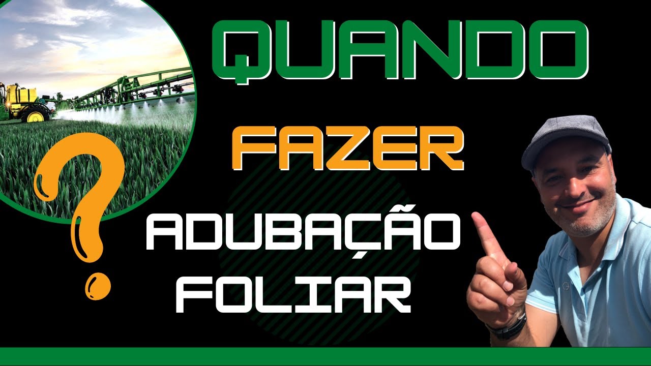 QUANDO FAZER ADUB&Ccedil;&Atilde;O FOLIAR