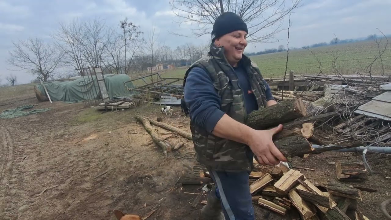 Favágás és a jövő tervei