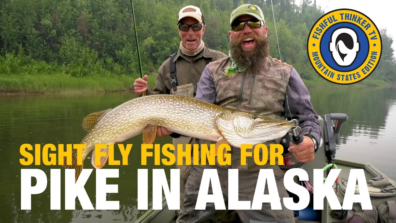 Sight-Fishing Monsters on Fly Tackle (pike fly fishing)