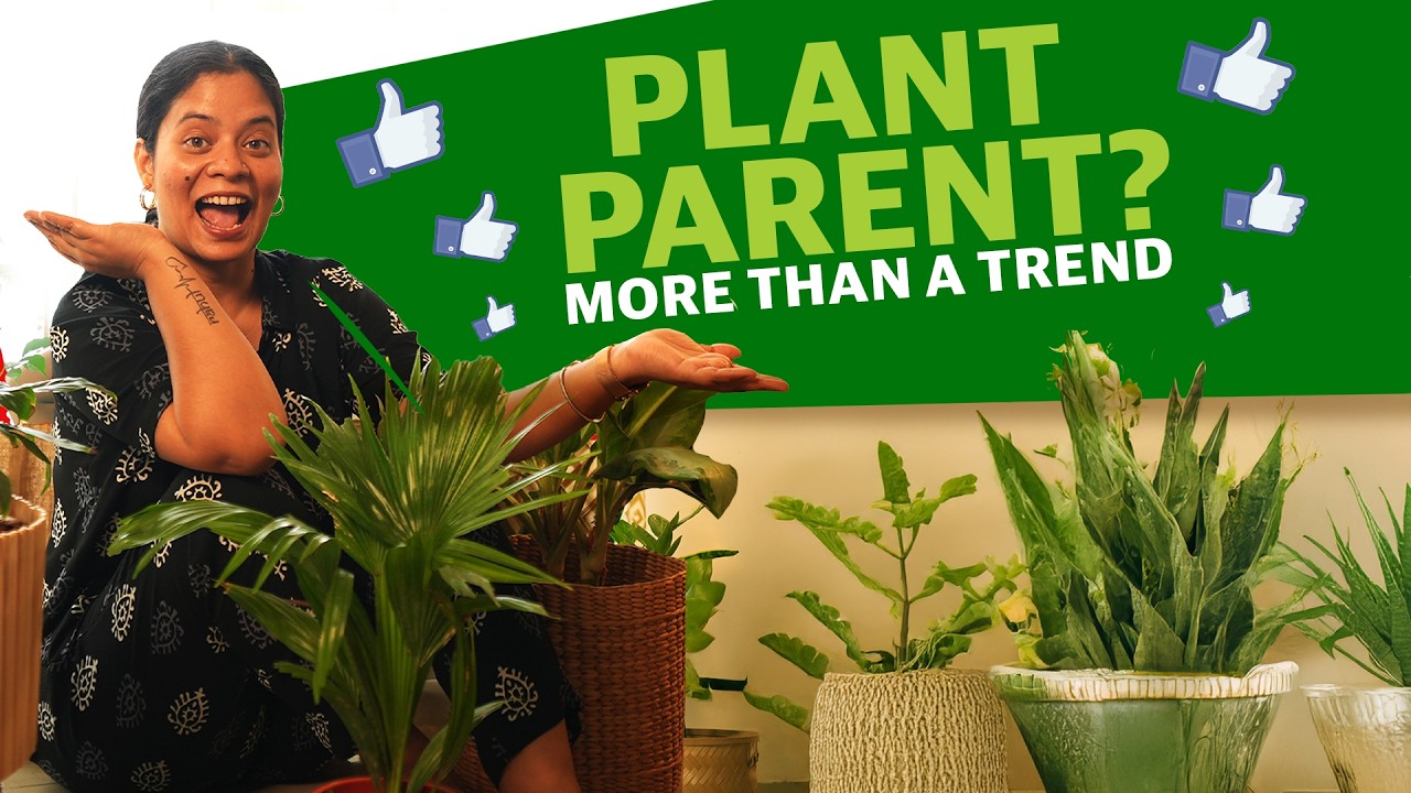 Elevate Your Home Decor with Indoor Plants ft. @Merapittara | GIVEAWAY