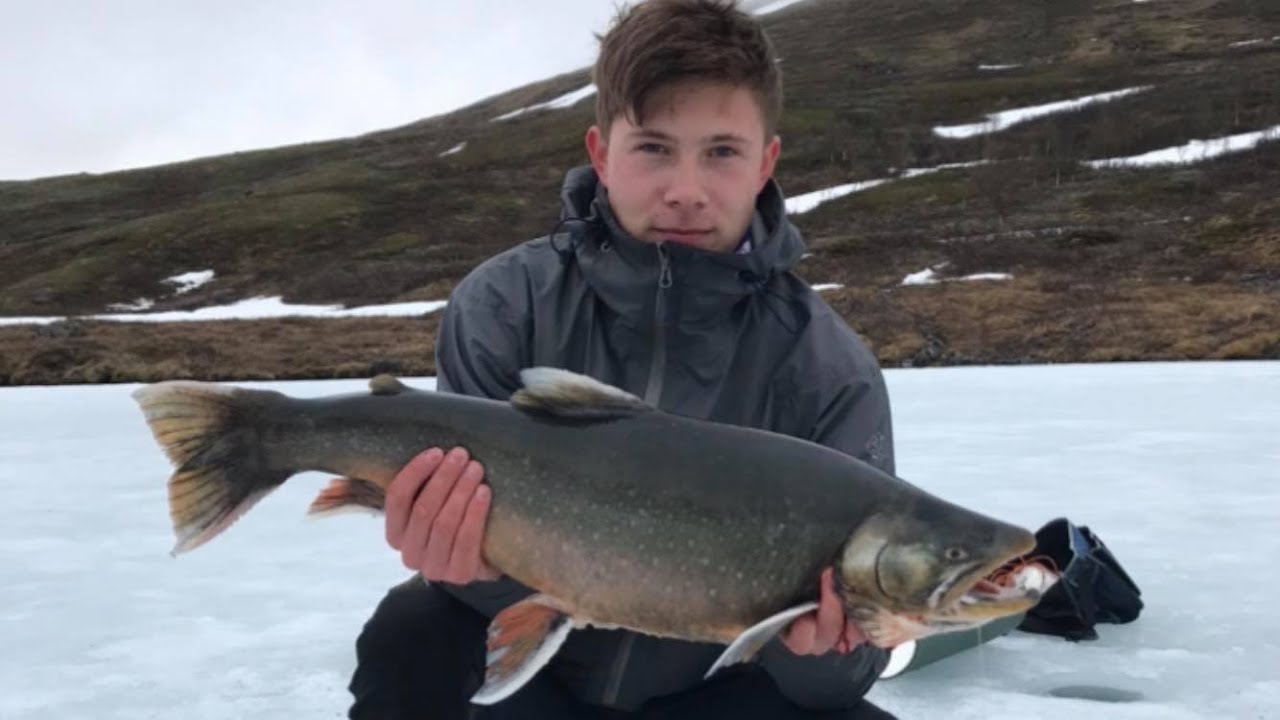Isfiske Røye 5,4kg Dividalen Indre Troms
