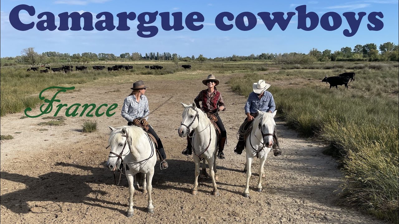 The Camargue - an amazing natural area on France's Mediterranean coast.