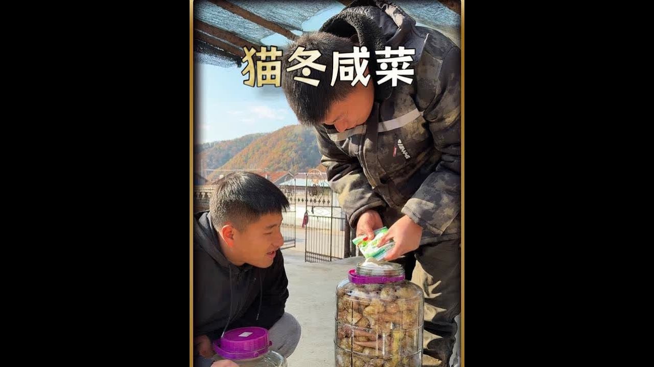 鬼头姜咸菜你们吃过吗，今天上山挖点回来一起腌上看看啥味#记录我的农村生活 #腌咸菜