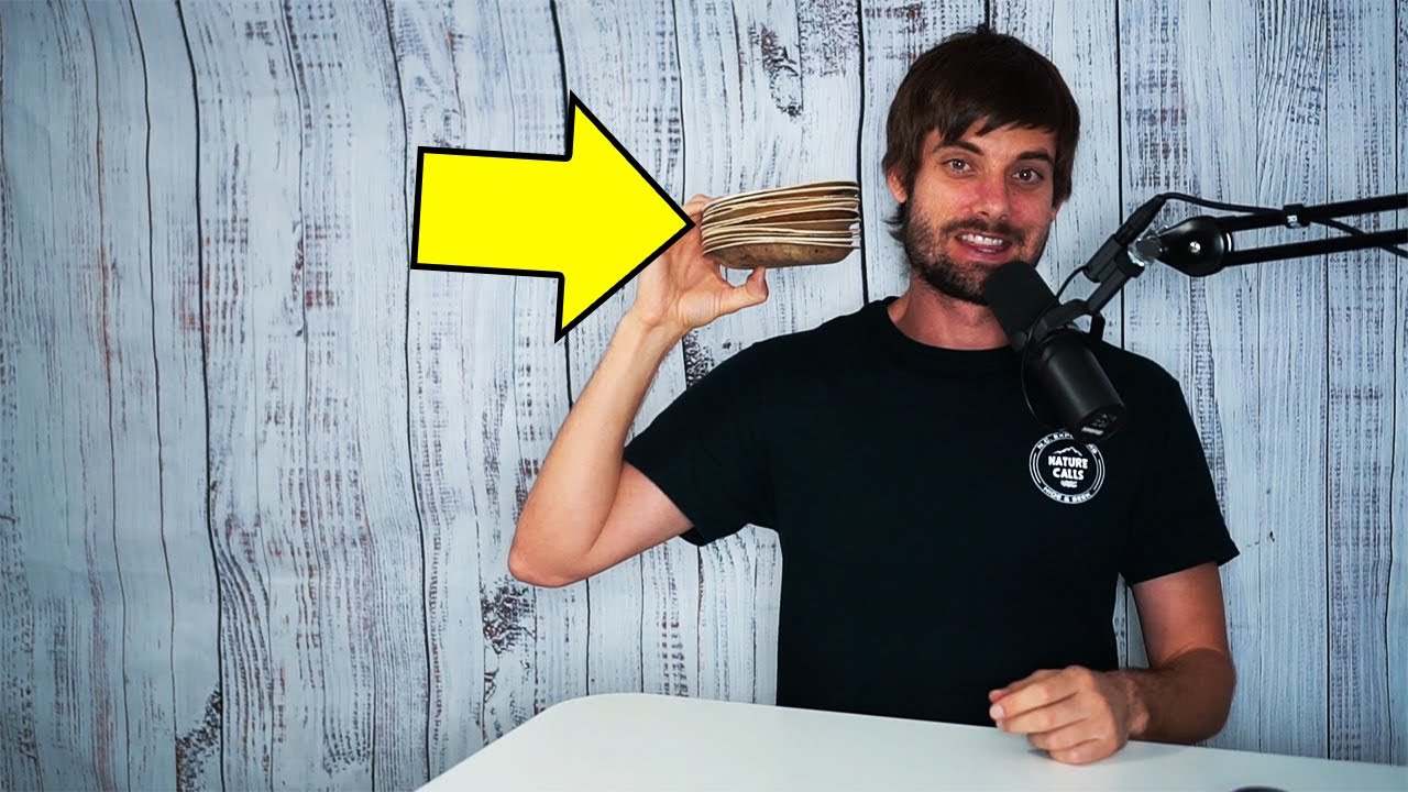 ECO SOUL Compostable 6 Inch Small Palm Leaf Round Plates Review (Link Below 👇)