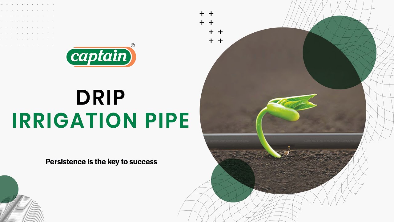 Revolutionizing Agriculture with Advanced Drip Irrigation Technology!