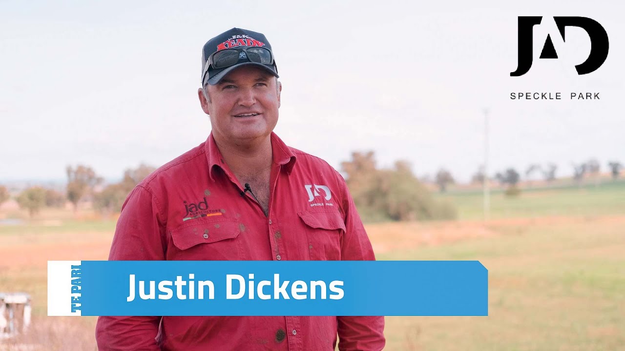 Justin Dickens talks about his Te Pari Cattle Yards |  JAD Speckle Park