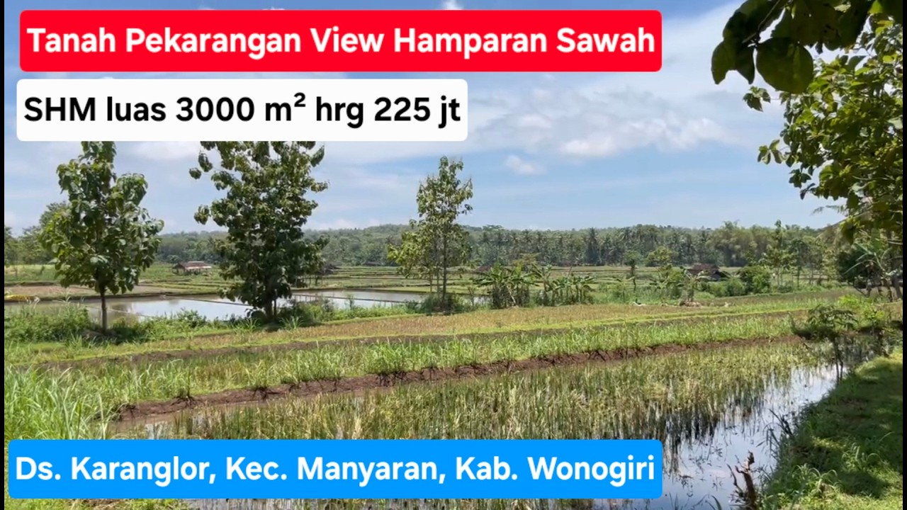 Tanah pekarangan view hamparan sawah SHM luas 3000m2, hrg 225jt. Lok Ds.Karanglor,Manyaran,Wonogiri
