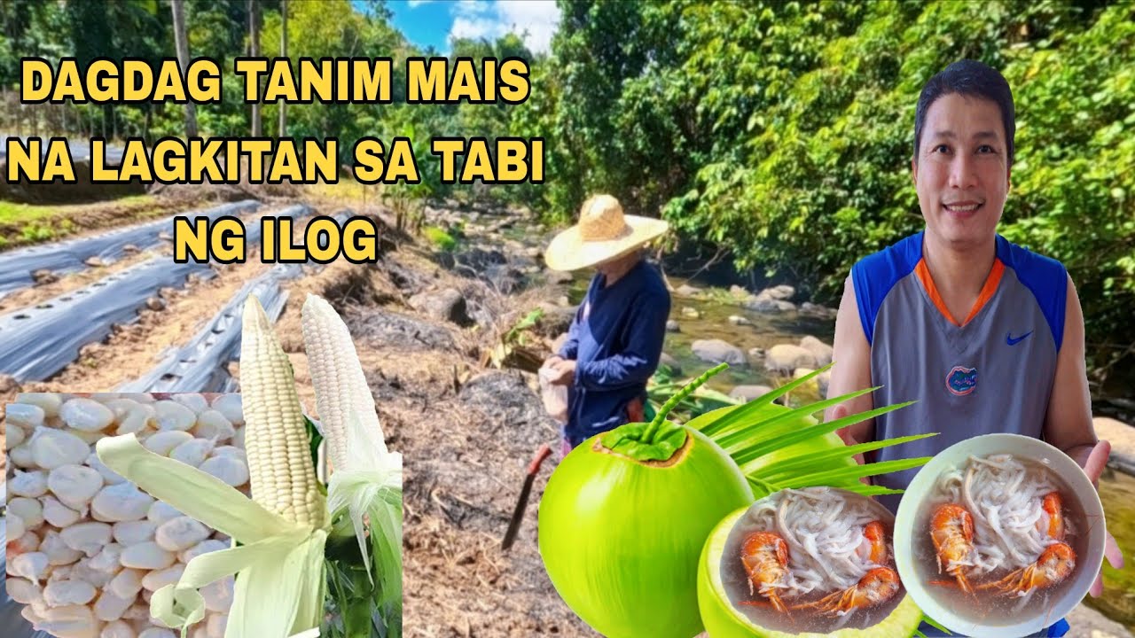 NILAGANG BUKO NA MAY NATIVE HIPON SA PANANGHALIAN 