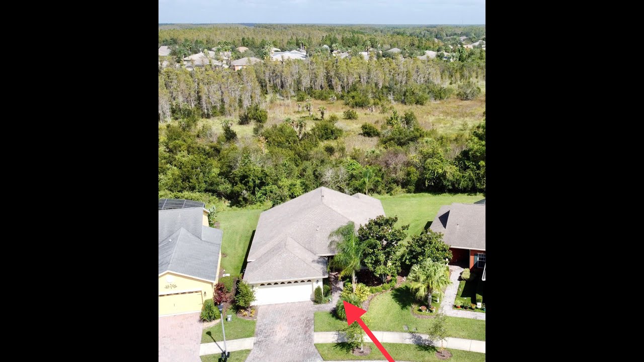 530 Portofino Dr., Kissimmee, FL ++ SOLD by BORCHINI REALTY++ Solivita's 55+ Community