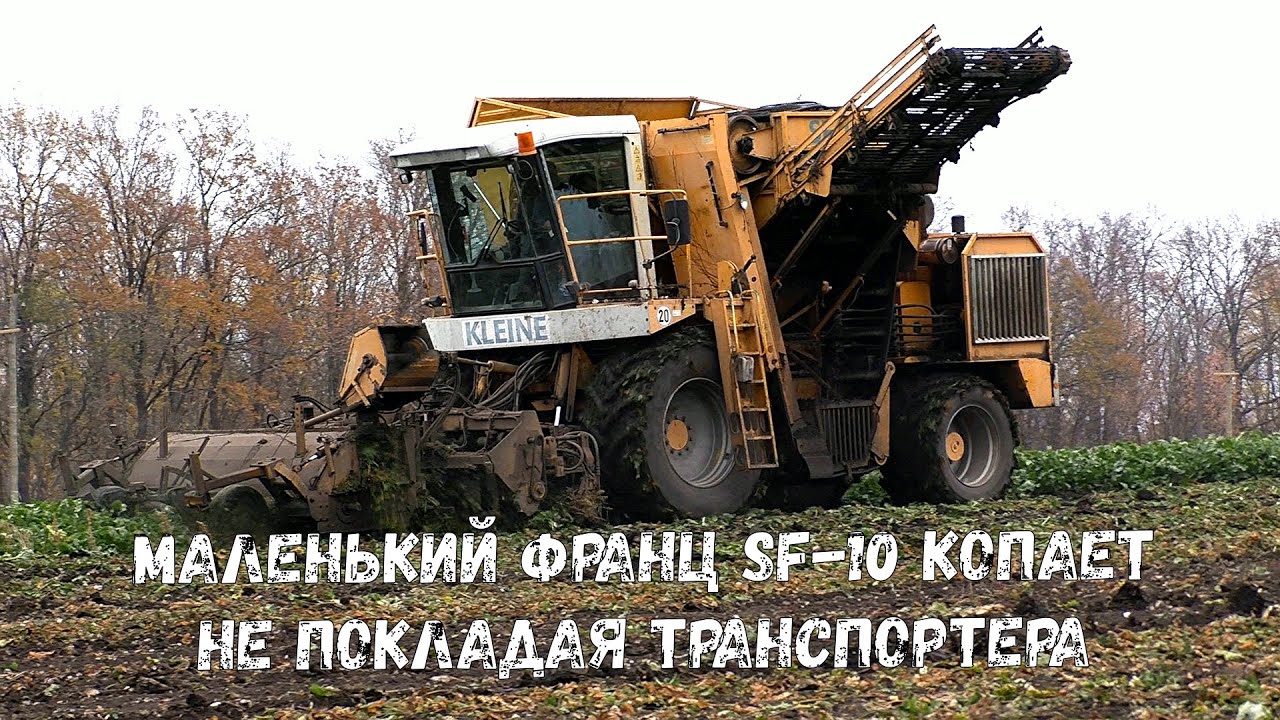 Свеклоуборочный комбайн Franz Kleine SF-10 и сахарная свекла 2020 года