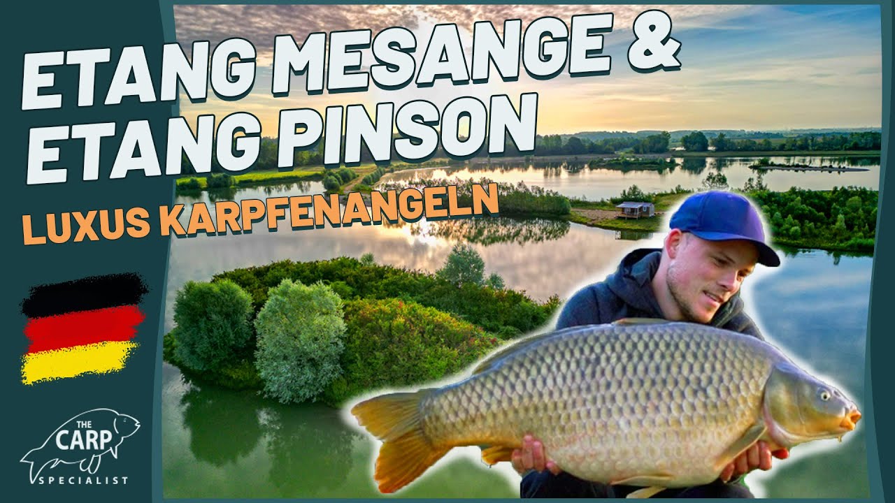 LUXUS Karpfenangeln in Frankreich - Goncourt Lakes Etang Mésange und Etang Pinson - mit Vincent🎣🇫🇷