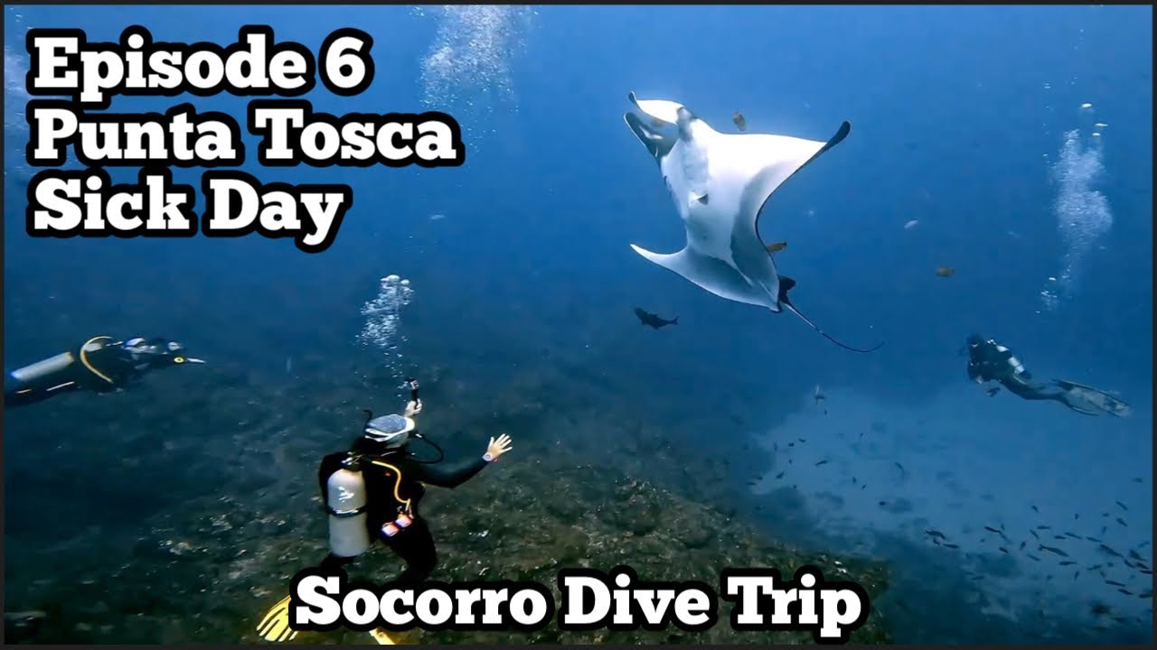 Punta Tosca & Matt Gets Sick | Quino el Guardian Mexico Liveaboards | Socorro Dive Trip Ep 6