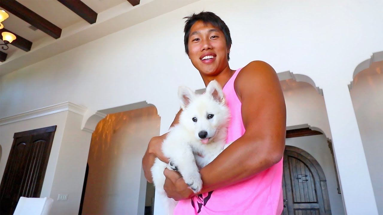Our New Puppy's Name Is...