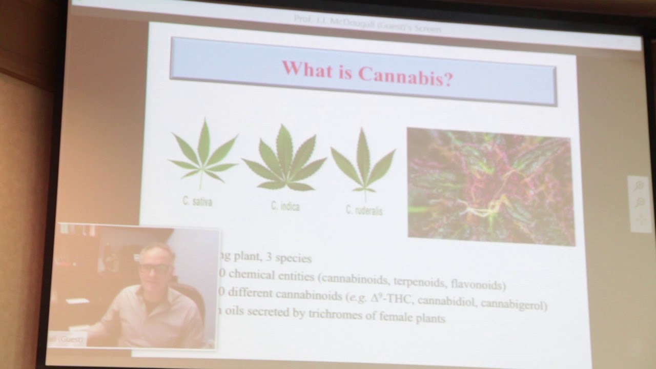 Medical Cannabis and Chronic Disease (Windsor, ON - Jan 31, 2018)