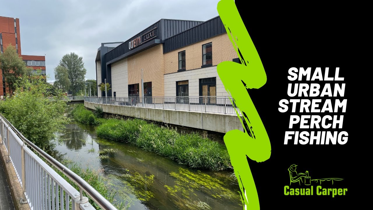 Urban River session perch fishing on the River Sow. A small river through Stafford town centre.