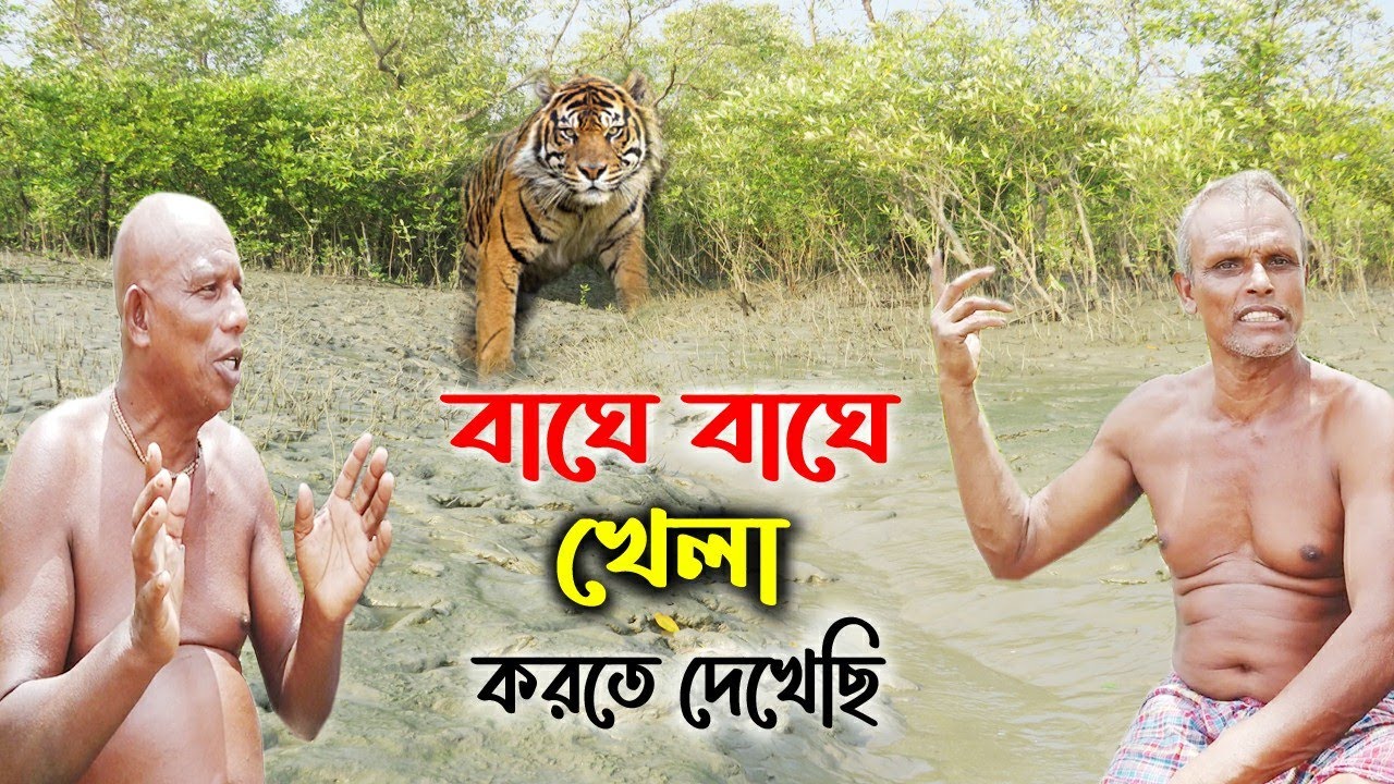 গভীর জঙ্গলে বাঘে বাঘে খেলা করতে দেখেছি | মরিচঝাঁপিতে মাছ-কাঁকড়া বেশি | sundarban Forest safari