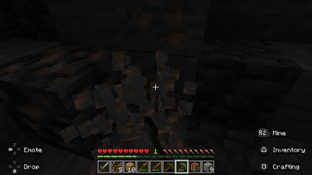 Pov you beat the game with a dog
