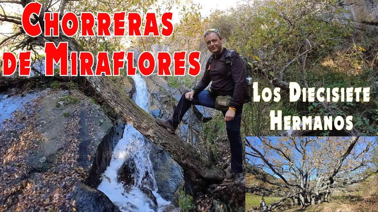 Ruta por los Arroyos de Miraflores y el Mágico Conjunto de Robles Diecisiete Hermanos